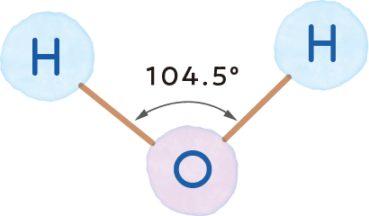 分子の図